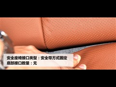 2009款 2.0T 自动靓雅版