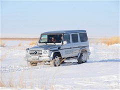 2010款 G 500