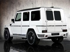 2010款 G 500