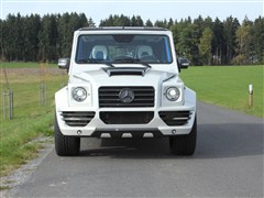 2010款 G 500