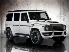 2010款 G 500