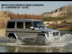 2010款 G 500