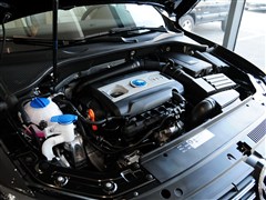 2013款 1.8TSI DSG尊荣版