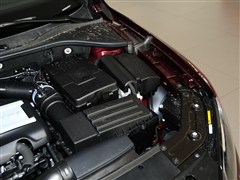 2013款 2.0TSI DSG御尊版