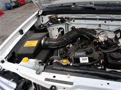 2010款 2.4L汽油两驱标准型ZG24