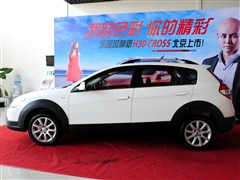 2013款 Cross 1.5L 自动尊逸型