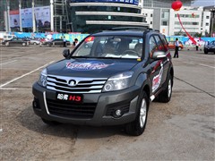 2009款 锐意版 2.0L 豪华型