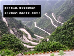 2009款 锐意版 2.0L 豪华型