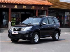 2009款 锐意版 2.0L 精英型