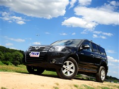 2009款 锐意版 2.0L 天窗版