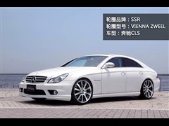 2008款 CLS 350