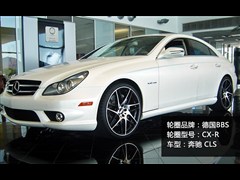 2009款 CLS 500