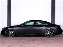 2009款 CLS 500