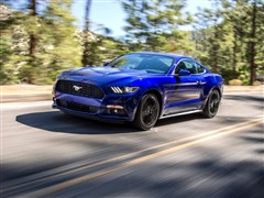 2015款 5.0L GT 性能版