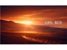 520 唯爱不可辜负 感恩有你，用真诚报以信任