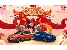 长沙瑞宝携手中国人寿财险 为车主春节平安出行保驾护航