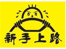 新手上路糗事多 忘放手刹最易犯